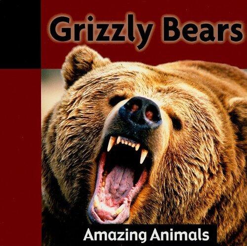 Grizzly Bears (Amazing Animals) by Jacqueline Dineen