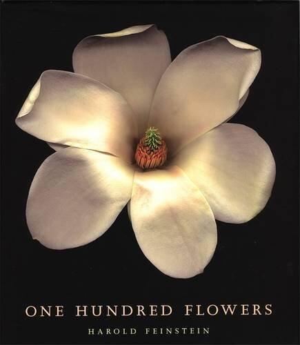 One Hundred Flowers by Harold Feinstein