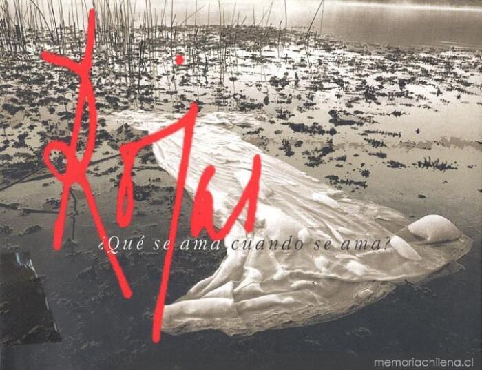 ¿Qué se ama cuando se ama?