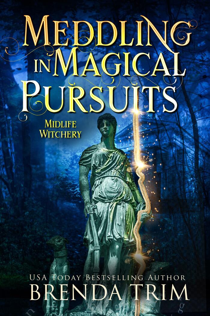 Meddling in Magical Pursuits