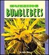 Buzzing Bumblebees
