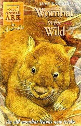 Wombat in the Wild
