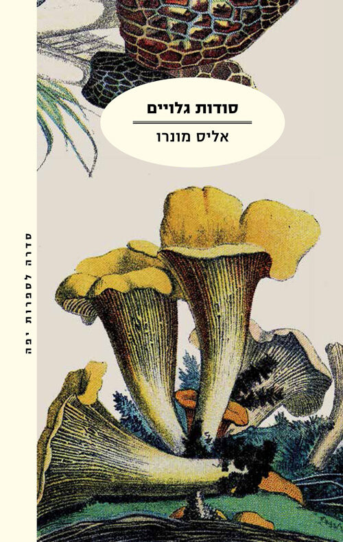 סודות גלויים