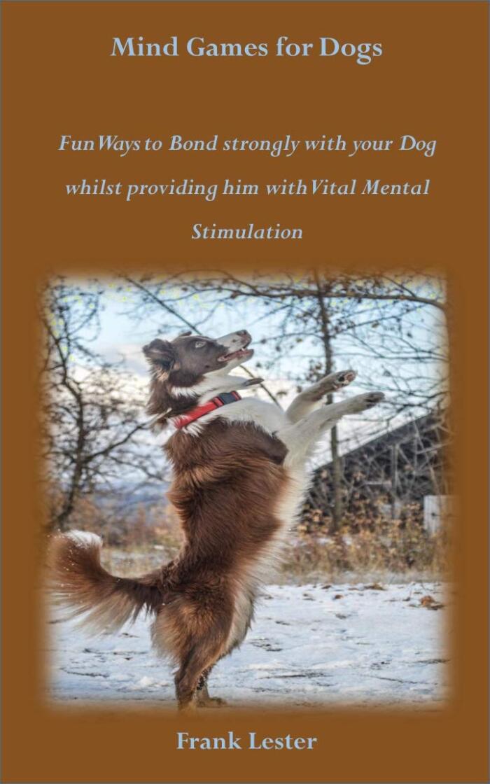 MIND GAMES FOR DOGS: Fun Ways to Bond Strongly with your Dog whilst Providing him with Vital Mental Stimulation