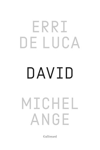 David, Michel-Ange: Enquête sur une disproportion