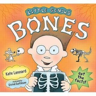 Little Genius: Bones