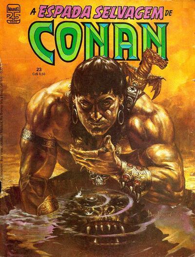 A Espada Selvagem de Conan nº 23
