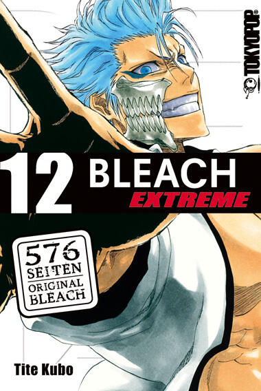 Bleach EXTREME (Volume 12)