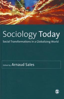 Sociology Today: Social Transformations in a Globalizing World