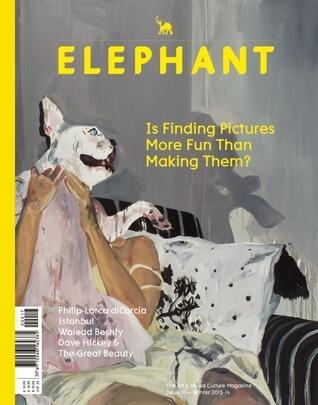 Elephant #17