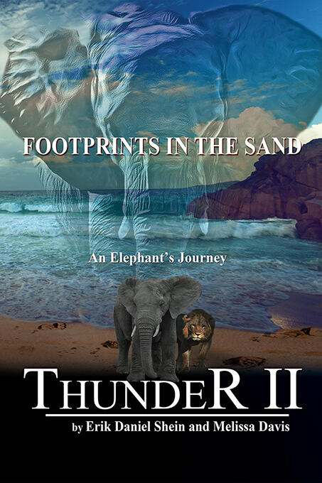 Footprints in the Sand