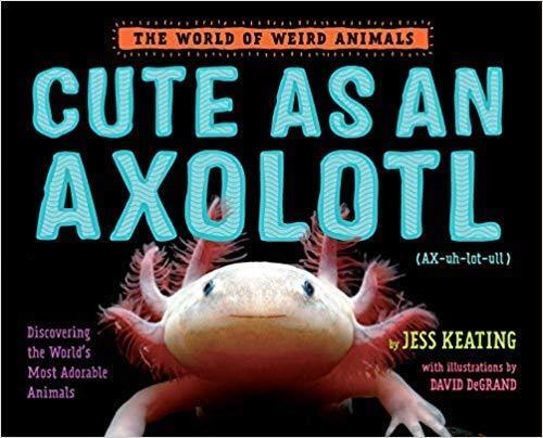 Cute as an Axolotl
