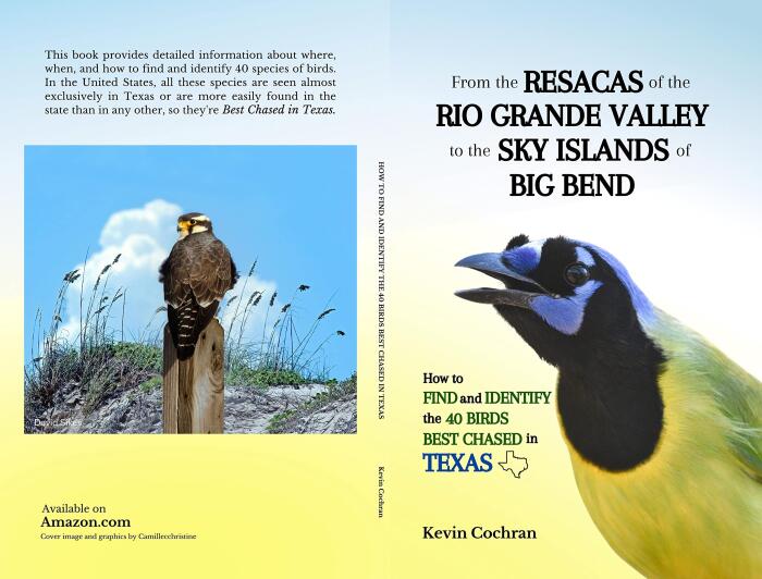 From the Resacas of the Rio Grande Valley to the Sky Islands of Big Bend: How to Find and Identify the 40 Birds Best Chased in Texas