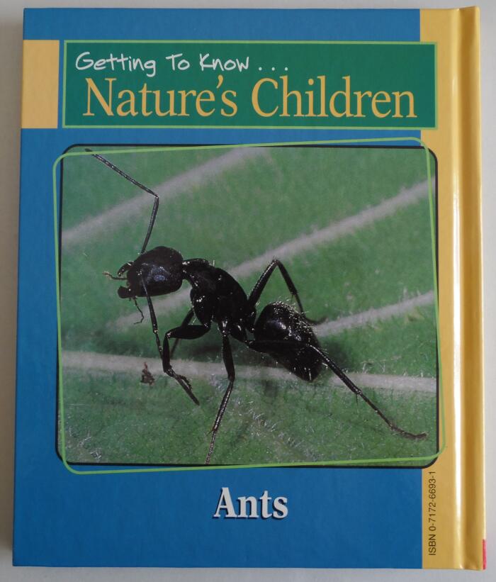 Gorillas / Ants