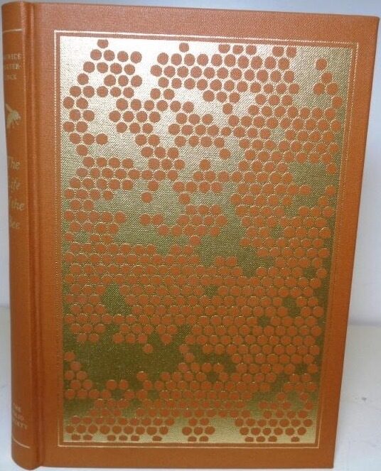 The Life of the Bee
