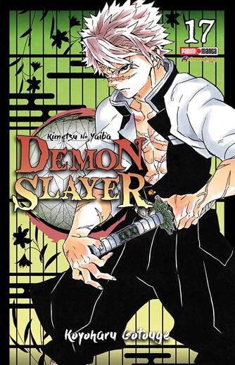 Demon Slayer, Vol. 17