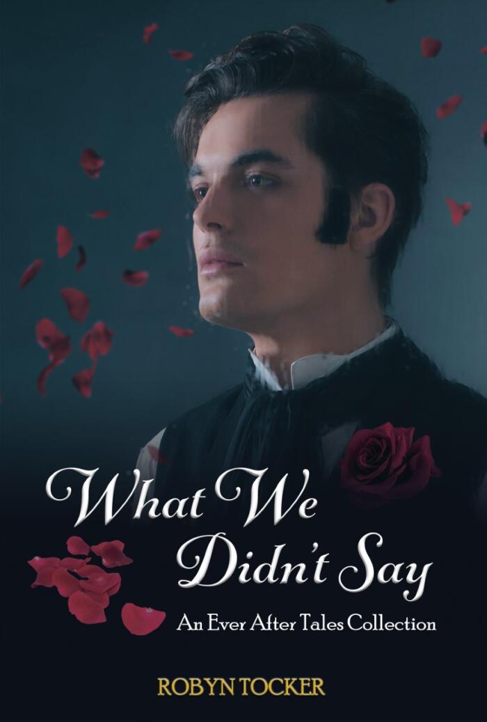 What We Didn't Say: An Ever After Tales Collection