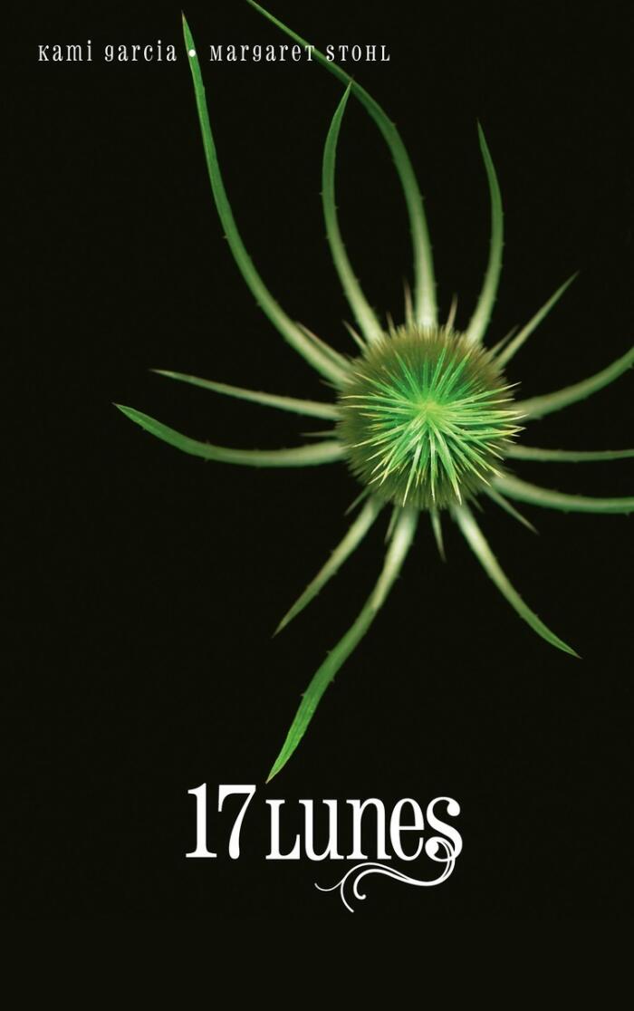 Les Enchanteurs : 17 Lunes - Tome 2
