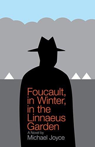 Foucault, in Winter, in the Linnaeus Garden
