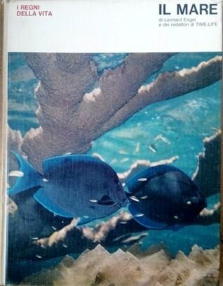 Il Mare