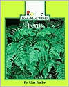 Ferns