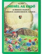 Mesél az erdő a manókról