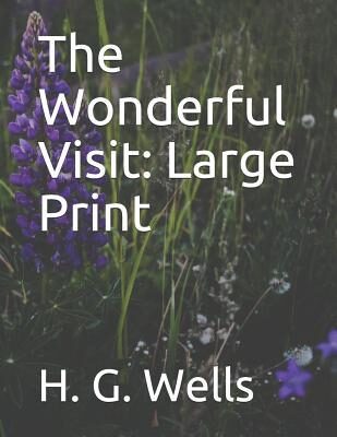 The Wonderful Visit