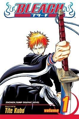 Bleach, Volume 1