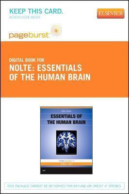 Essentials of the Human Brain