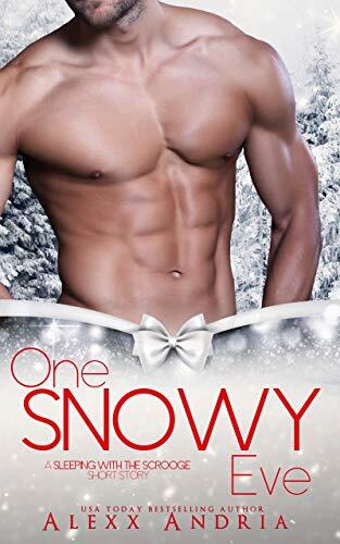 One Snowy Eve