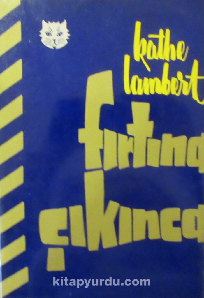 Fırtına Çıkınca
