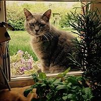Olivia Swift