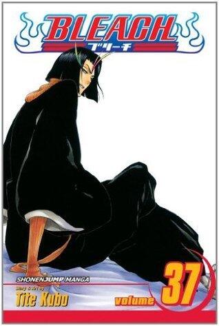 Bleach, Vol. 37: Beauty Is So Solitary
