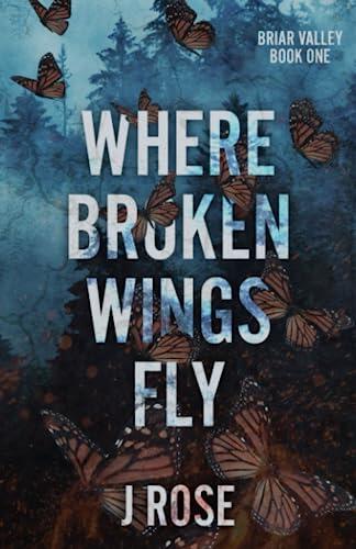 Where Broken Wings Fly: A Small Town Reverse Harem Romance