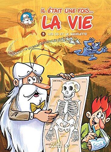 Les Os et le Squelette