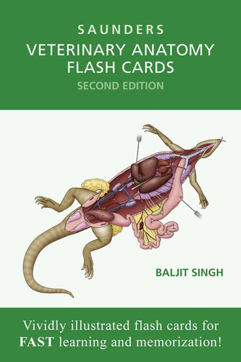 Veterinary Anatomy Flash Cards (E-Book)