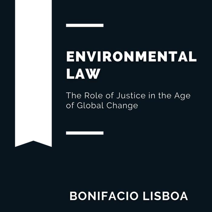 Environmental Law: The Role of Justice in the Age of Global Change: Foundations of Law: Global Perspectives on Ethics and Justice