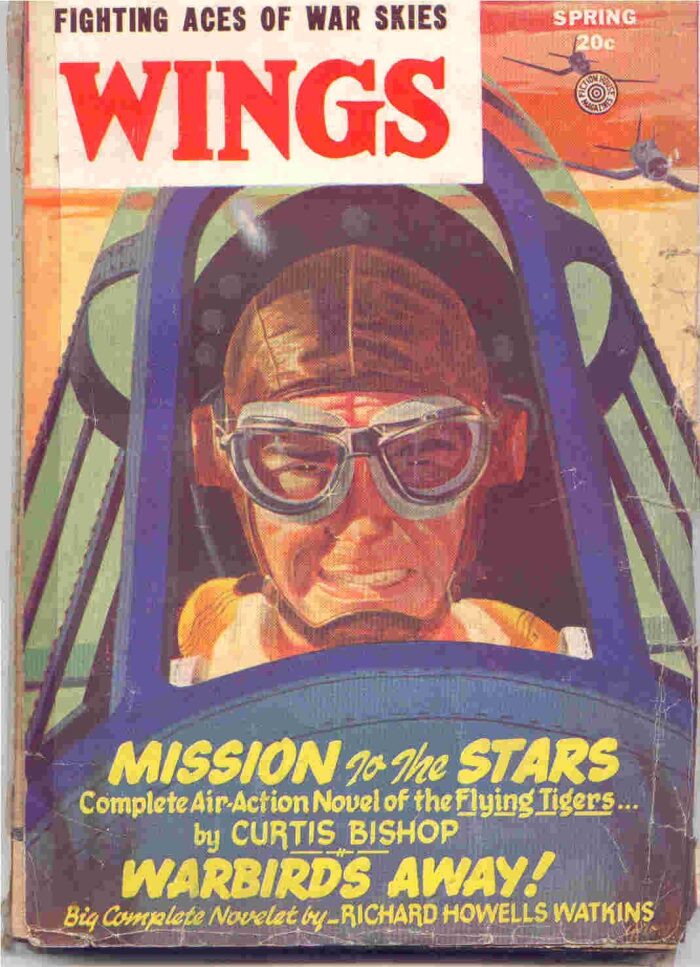 Wings: Fighting Aces of War Skies