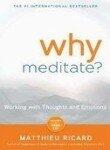 Why Meditate?