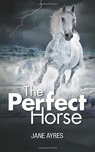 The Perfect Horse