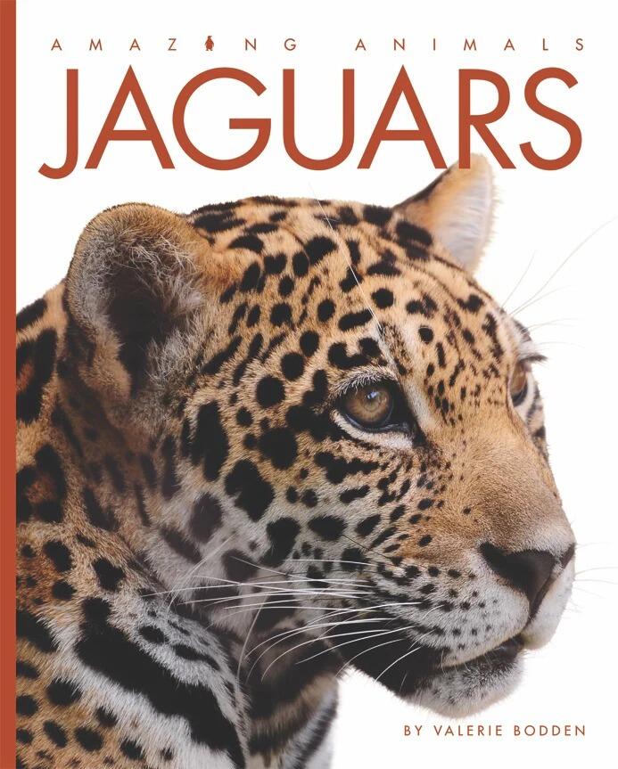 Jaguars