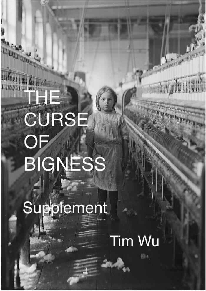 The Curse of Bigness: Supplement