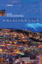 Ameriška viza