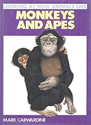 Monkeys and Apes
