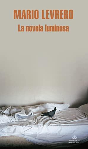 La novela luminosa/ The Bright Novel