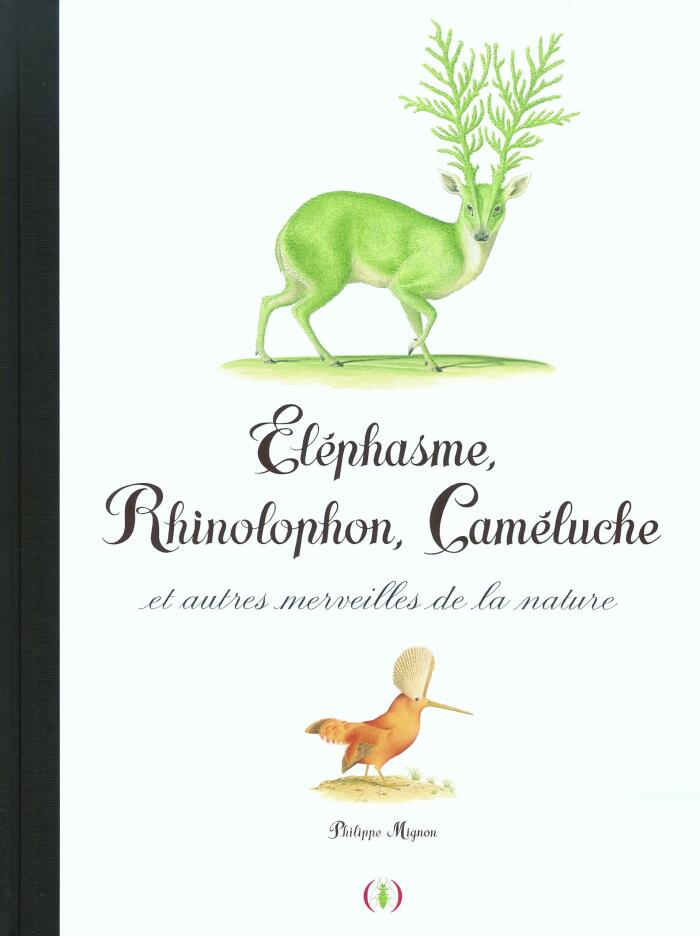 Éléphasme, Rhinolophon, Caméluche et autres merveilles de la nature