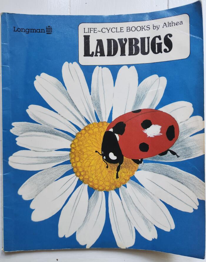 Ladybugs
