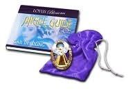 Angel Guide To Go