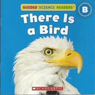 There Is A Bird