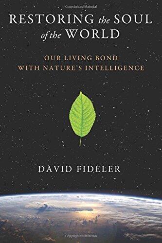 Restoring the Soul of the World: Our Living Bond with Nature's Intelligence by Fideler, David (2014) Paperback